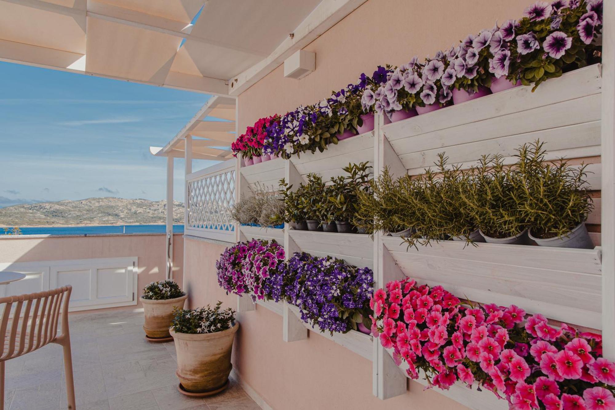 Controvento Bed & Breakfast La Maddalena  Exterior foto